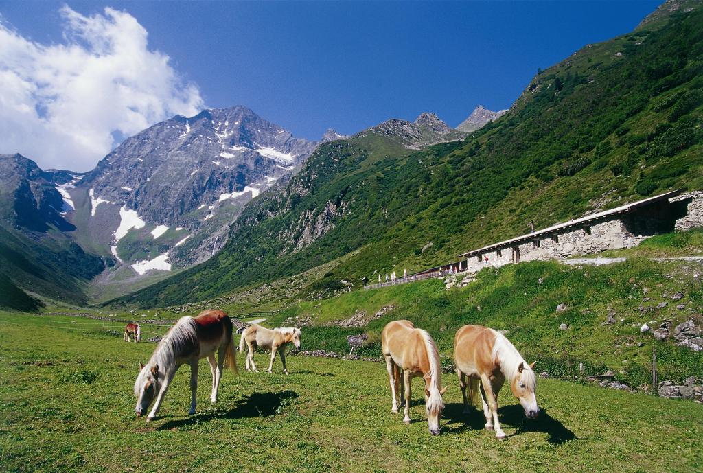 Apartment Hildegard Neustift im Stubaital Eksteriør bilde