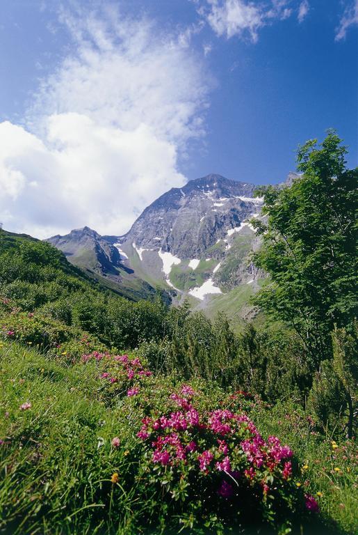 Apartment Hildegard Neustift im Stubaital Rom bilde